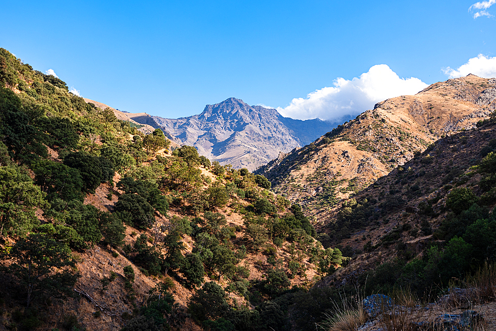 Hiking trail along rugged arid mountain valley of the Sierra Nevada, with Alcazaba in the distance, Andalusia, Spain, Europe