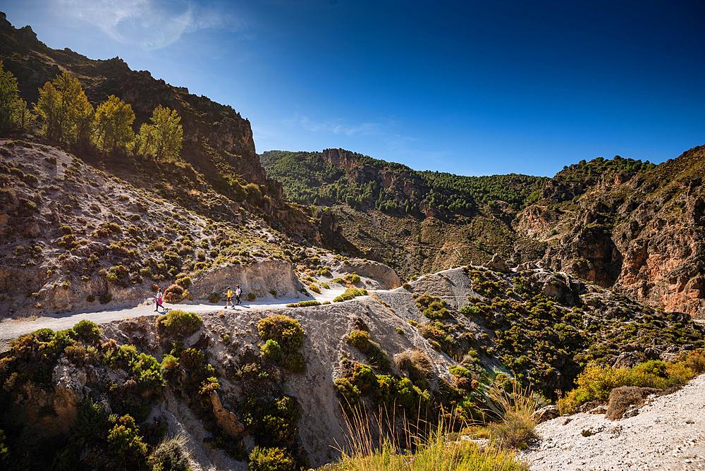 Hiking trail in the arid gorge canyon landscape of Los Cahorros Monachil, Monachil, Sierra Nevada, Granada, Andalusia, Spain, Europe