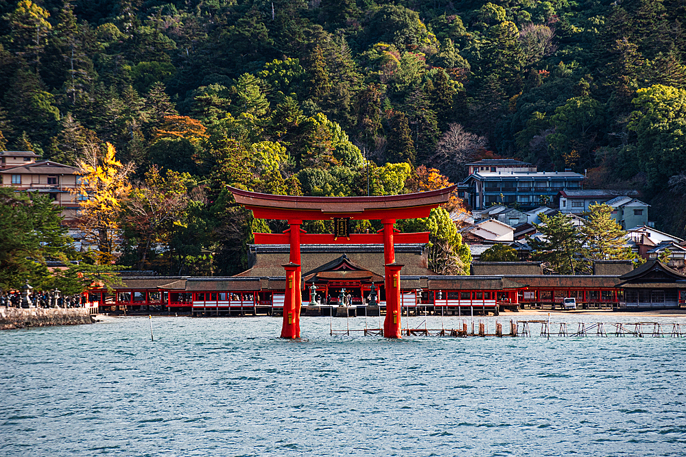 Famous Otori Gate, Torii in the sea in front of forest and Temple, Miyajima, UNESCO World Heritage Site, Hiroshima Prefecture, Honshu, Japan, Asia