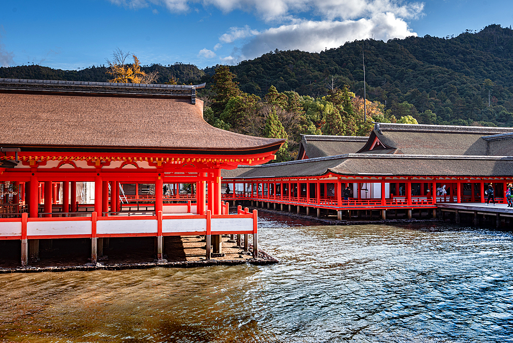 Itsukushima Shrine on Miyajima Island near Hiroshima. Japan Tempel shinto. Famous shrine with floating torii Otori