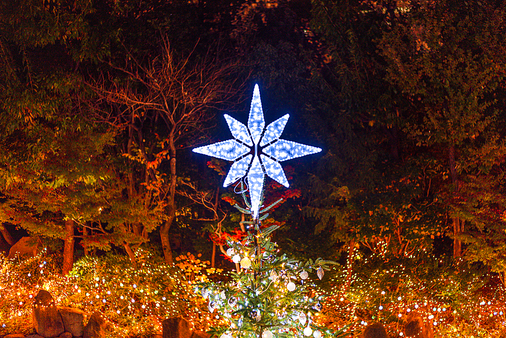 Christmas illuminations, Osaka, Honshu, Japan, Asia