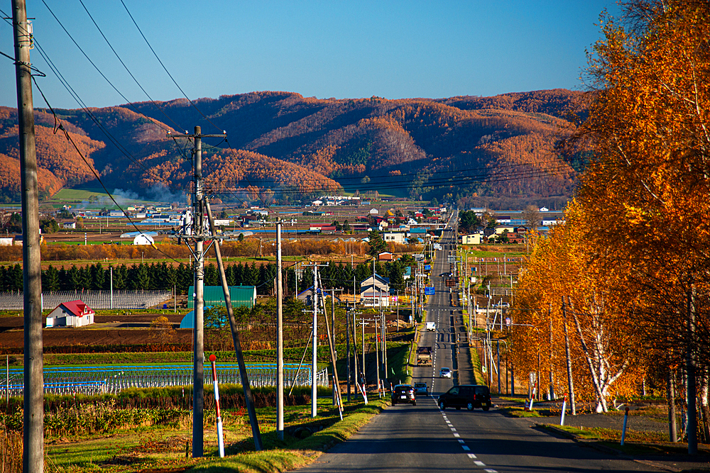 Rural autumn landscape, Highway with autumnal forest hills, Hokkaido, Japan, Asia