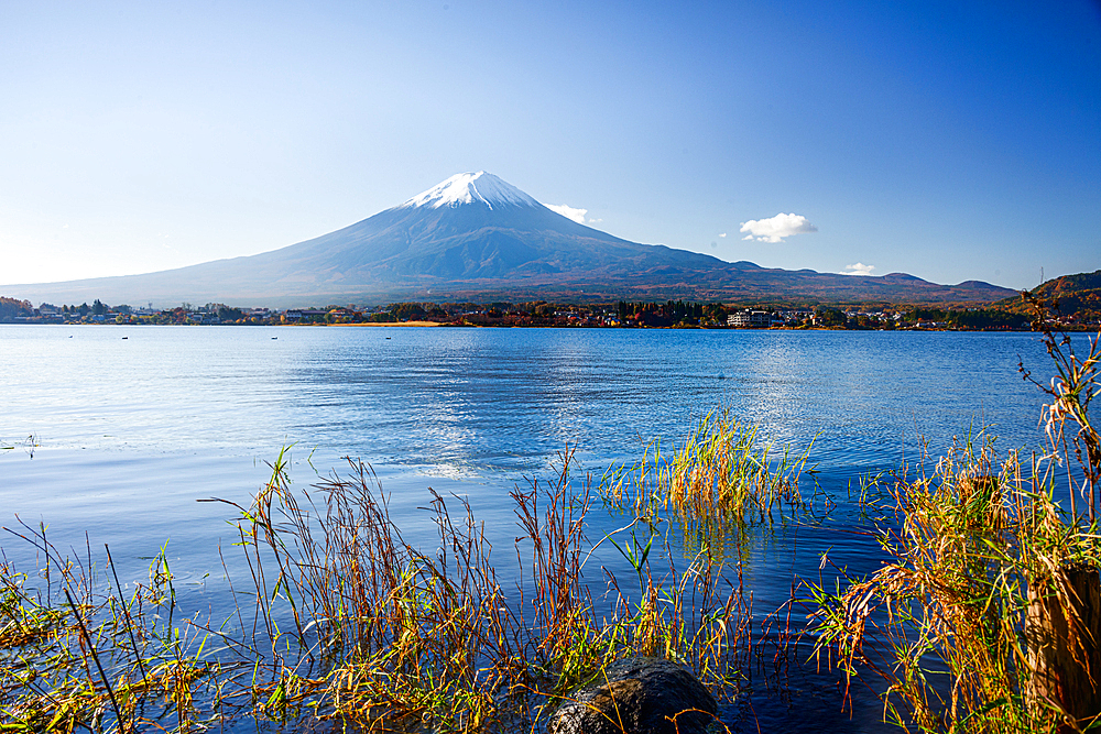 Mount Fujiyama (Mount Fuji), UNESCO World Heritage Site, ice capped volcano with a clear blue lake in fireground in autumn, Honshu, Japan, Asia