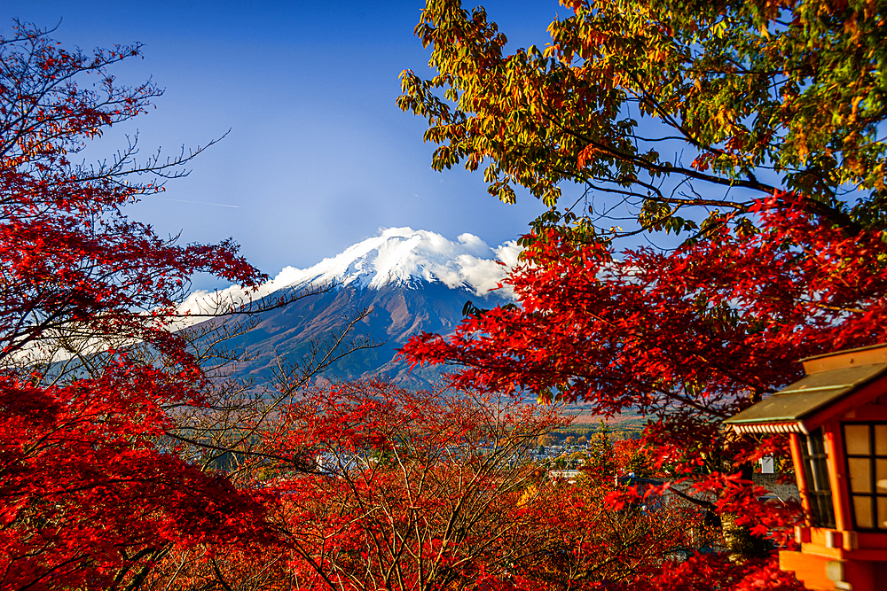 Mount Fujiyama (Mount Fuji), UNESCO World Heritage Site, iconic volcano in autumn, Honshu, Japan, Asia