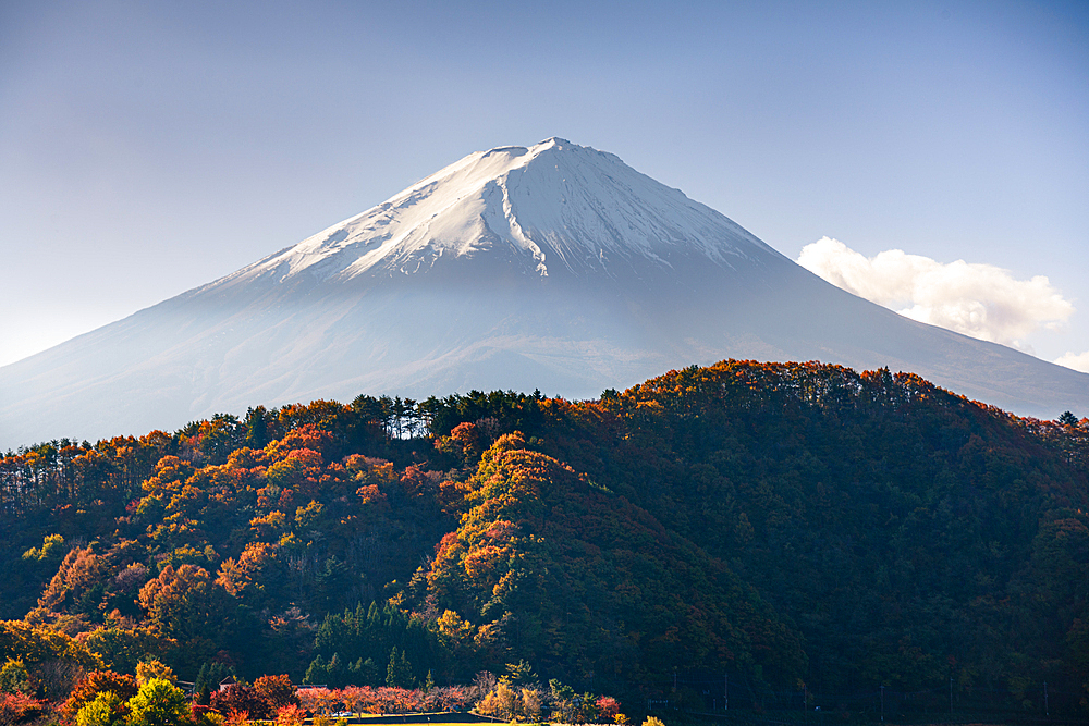 Forest slopes in front of the summit, Mount Fujiyama (Mount Fuji), UNESCO World Heritage Site, iconic volcano in autumn, Honshu, Japan, Asia