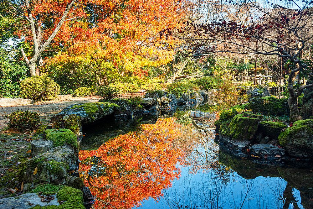 Japanese garden pond with vibrant autumn leaves surrounding. Yoshino Japan