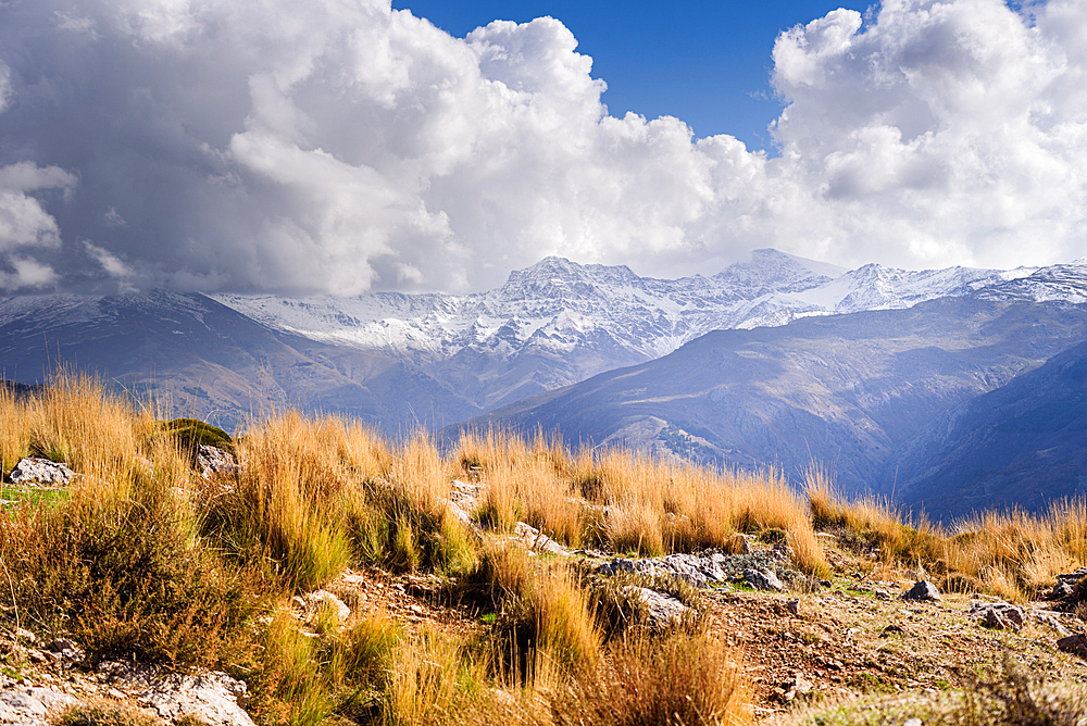 Dreamy mountain landscapes. Sierra Nevada Mulhacen, Alcazaba, Pico del Veleta wth snowy peaks. Golden dry alpine grassland. Spain, Granada, Andalusia