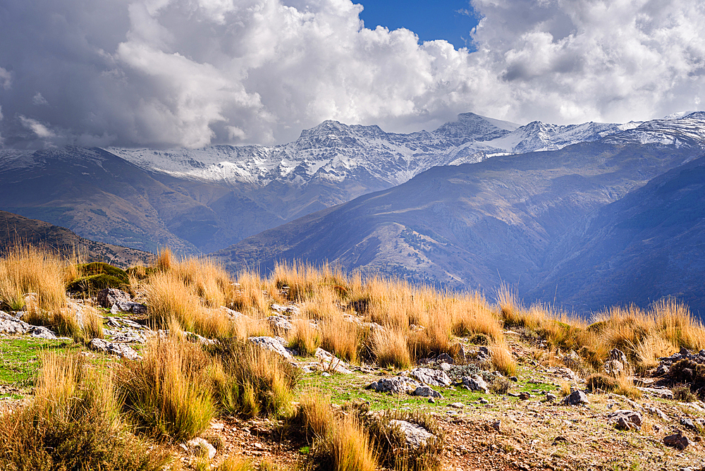 Dreamy mountain landscapes of Sierra Nevada Mulhacen, Alcazaba, Pico del Veleta wth snowy peaks, and golden dry alpine grassland, Granada, Andalusia, Spain, Europe