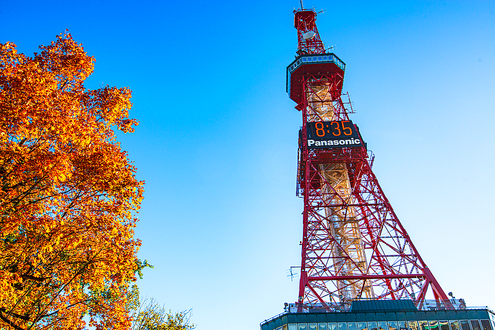 Close up of Sapporo Tower with red maple autumn leaves against blue sky, Sapporo, Hokkaido, Japan, Asia