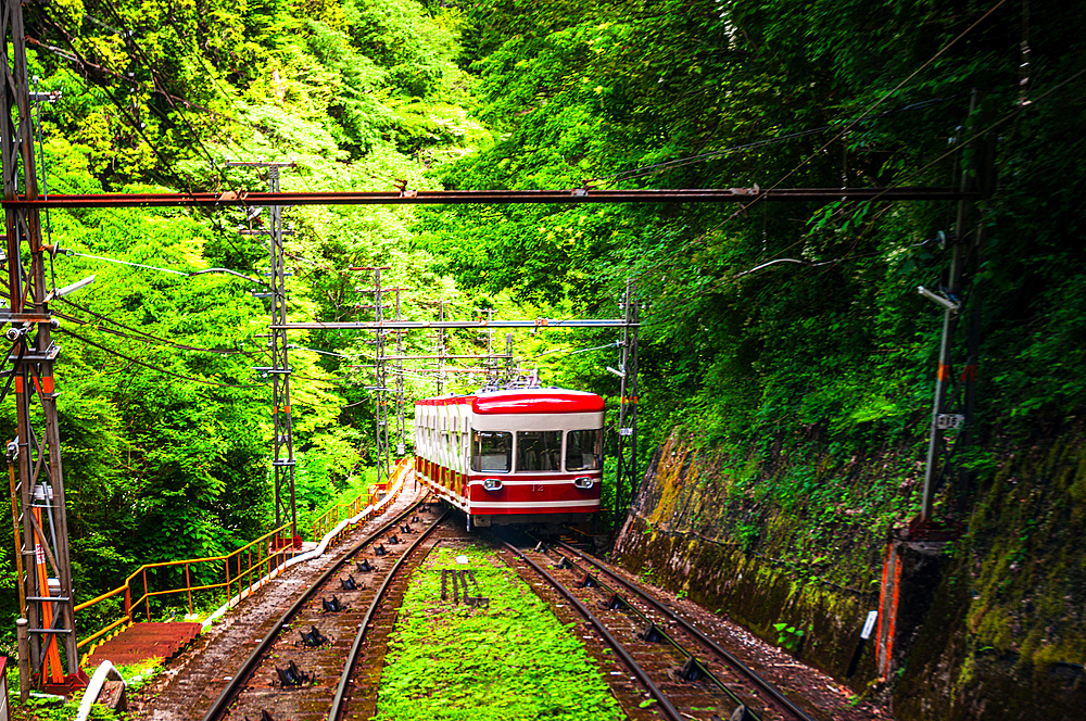 Red Tram cable car in lush green forest up the hill of Koyasan, Osaka, Honshu, Japan