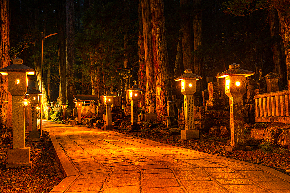 Stone lanterns in deep forest of Koyasan at night, Buddhist cemetery of Oku-no-in, Koyasan (Koya-san), Kansai, Honshu, Japan