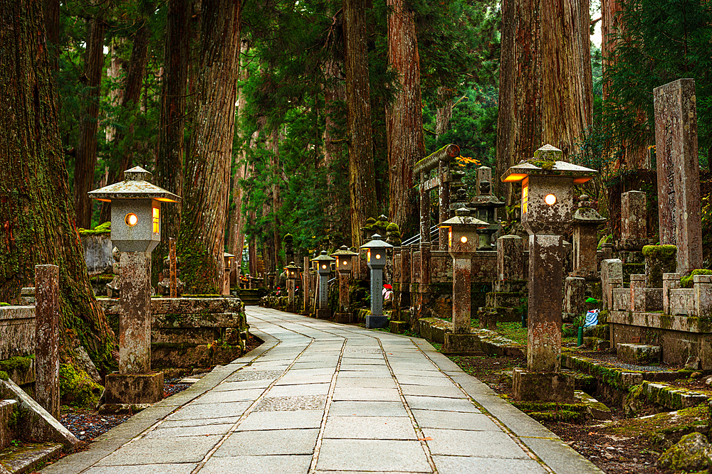 Beautiful stone lanterns in a deep forest of Koyasan, near Osaka. Buddhist cemetery of Oku-no-in, Koyasan (Koya-san), Kansai, Japan.