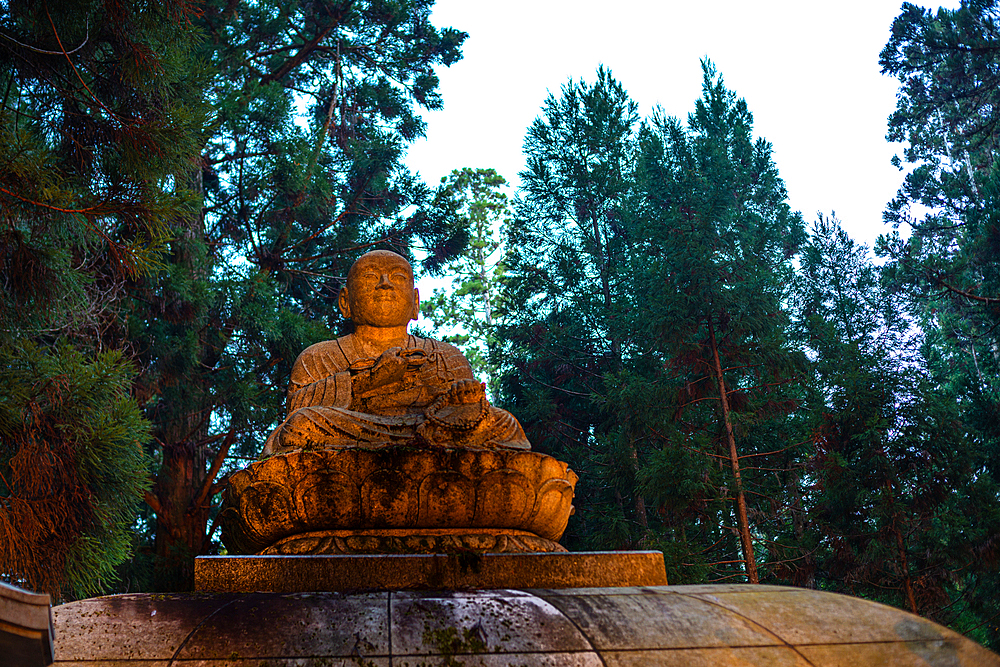 Beautiful stone statues in a deep forest of Koyasan at night, near Osaka. Buddhist cemetery of Oku-no-in, Koyasan (Koya-san), Kansai, Japan.