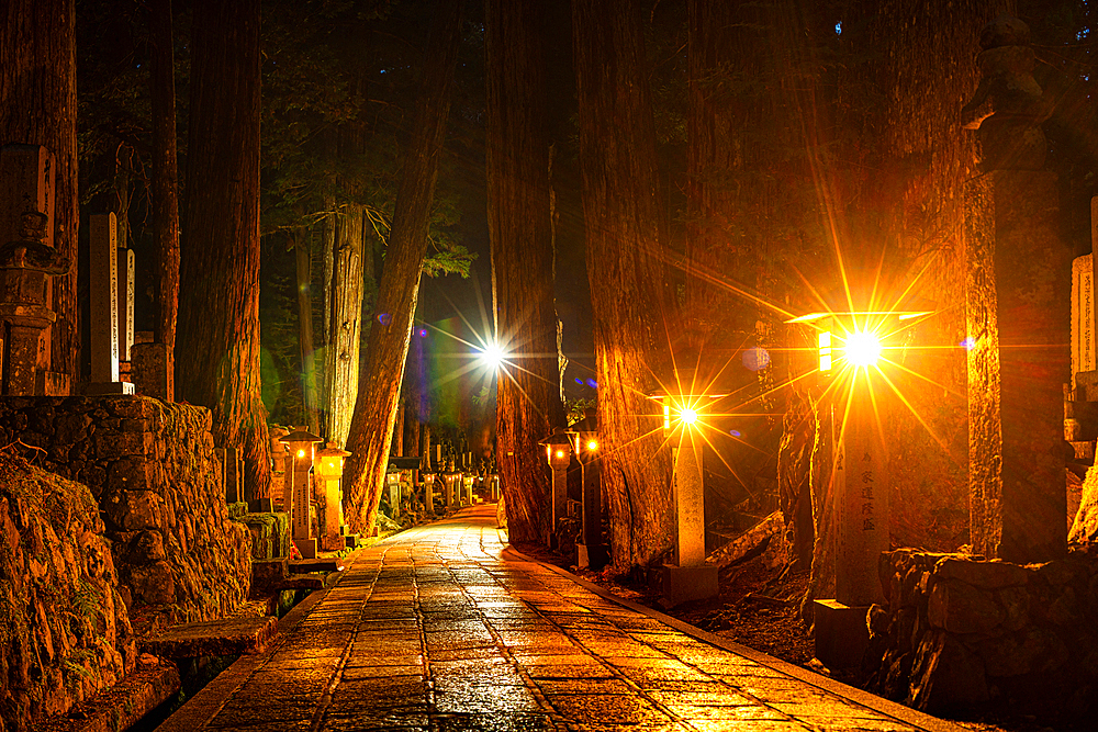 Stone lanterns in deep forest of Kyosan at night, Buddhist cemetery of Oku-no-in, Koyasan (Koya-san), Kansai, Honshu, Japan