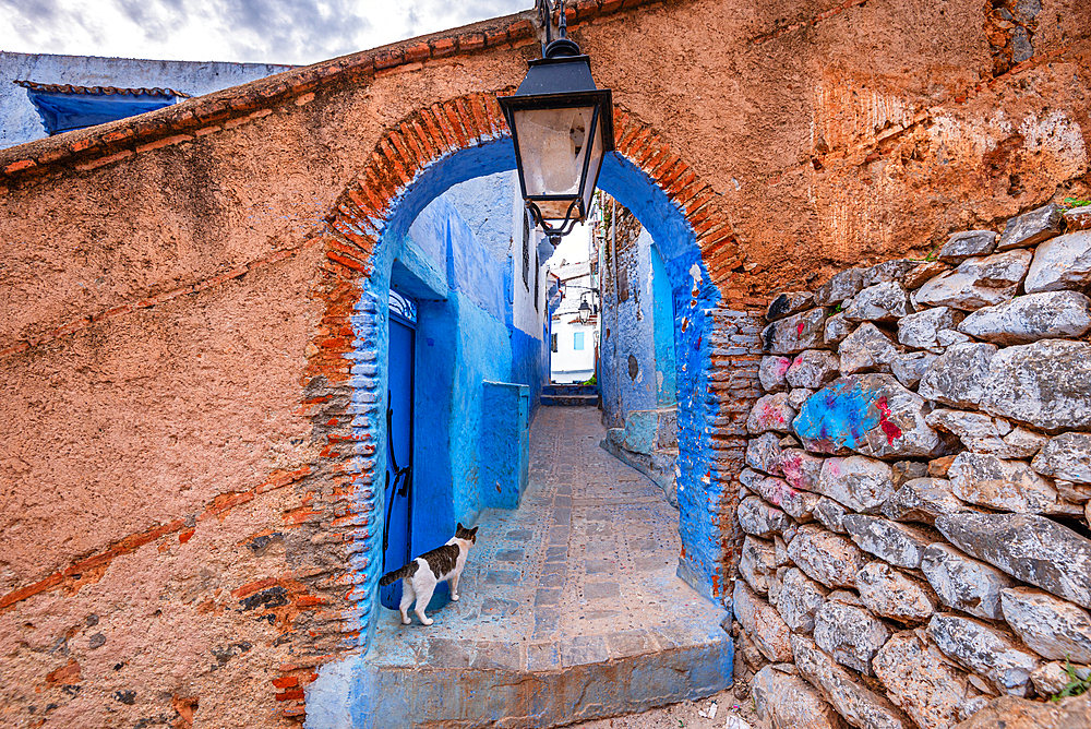 Old arched city gates entering the medina of Chefchaouen in Morocco. Famously known as the blue city. Cat looking a long a blue alley