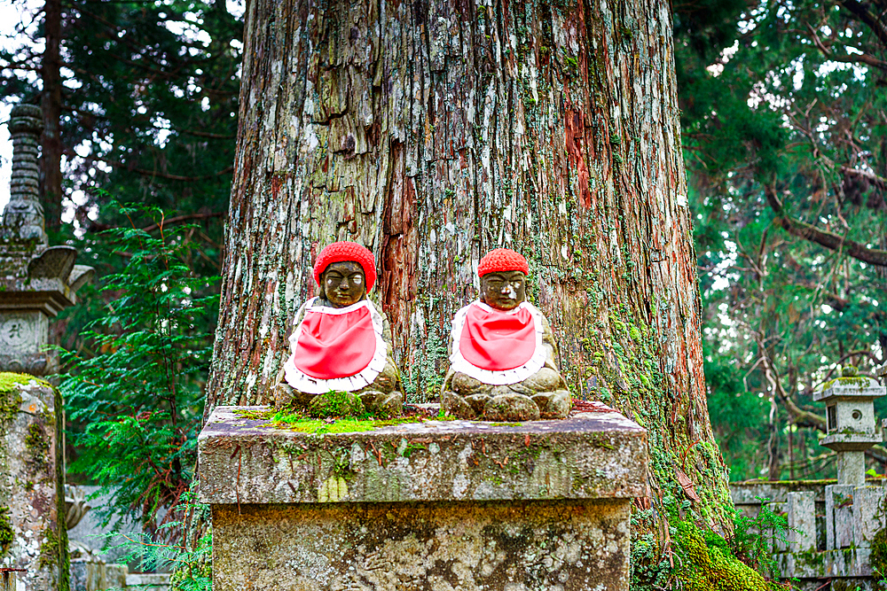 Two red hat Jizo statues under old tree trunk. Buddhist cemetery of Oku-no-in, Koyasan (Koya-san), Kansai, Honshu, Japan