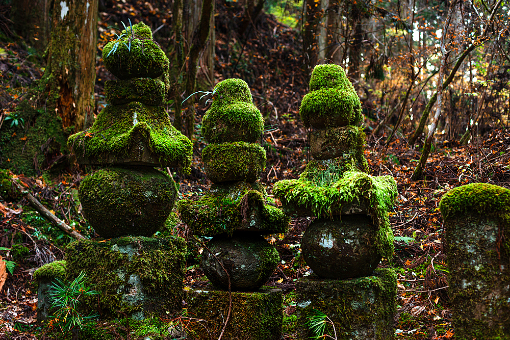 Old mossy stone lanterns, Buddhist cemetery of Oku-no-in, Koyasan (Koya-san), Kansai, Honshu, Japan