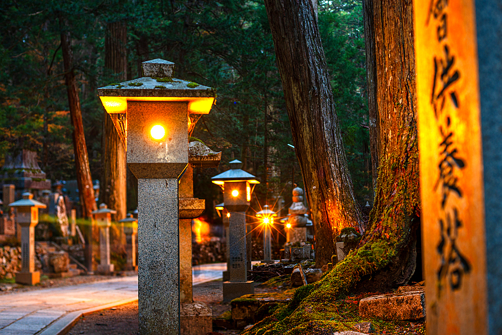 Warm night light of stone lanterns at Buddhist cemetery of Oku-no-in, Koyasan (Koya-san), Kansai, Japan, Asia