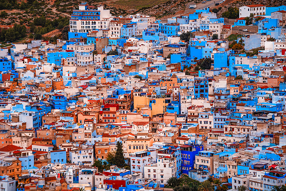 Close up of blue houses in the skyline of Chefchaouen, Morocco. Sunrise overlooking the medina.