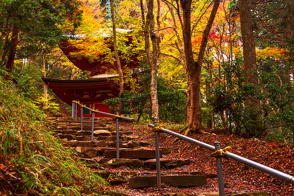 Mount Hiei, Hiei San, Stairs leading up to Nemoto Nyoho Pagoda. Beautiful Japanese Shinto Pagoda in an autumnal forest on the sacred mount Hiei. Konpon-nyoho-Tower of the Hieizan Enryaku-ji Temple Yokawa