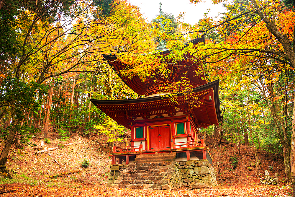 Mount Hiei, Hiei San, Nemoto Nyoho Pagoda. Beautiful Japanese Shinto Pagoda in an autumnal forest on the sacred mount Hiei. Konpon-nyoho-Tower of the Hieizan Enryaku-ji Temple Yokawa