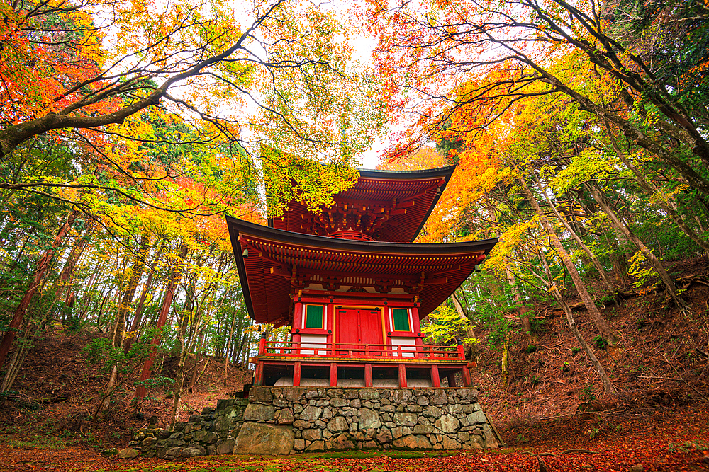 Mount Hiei, Hiei San, Nemoto Nyoho Pagoda. Beautiful Japanese Shinto Pagoda in an autumnal forest on the sacred mount Hiei. Konpon-nyoho-Tower of the Hieizan Enryaku-ji Temple Yokawa