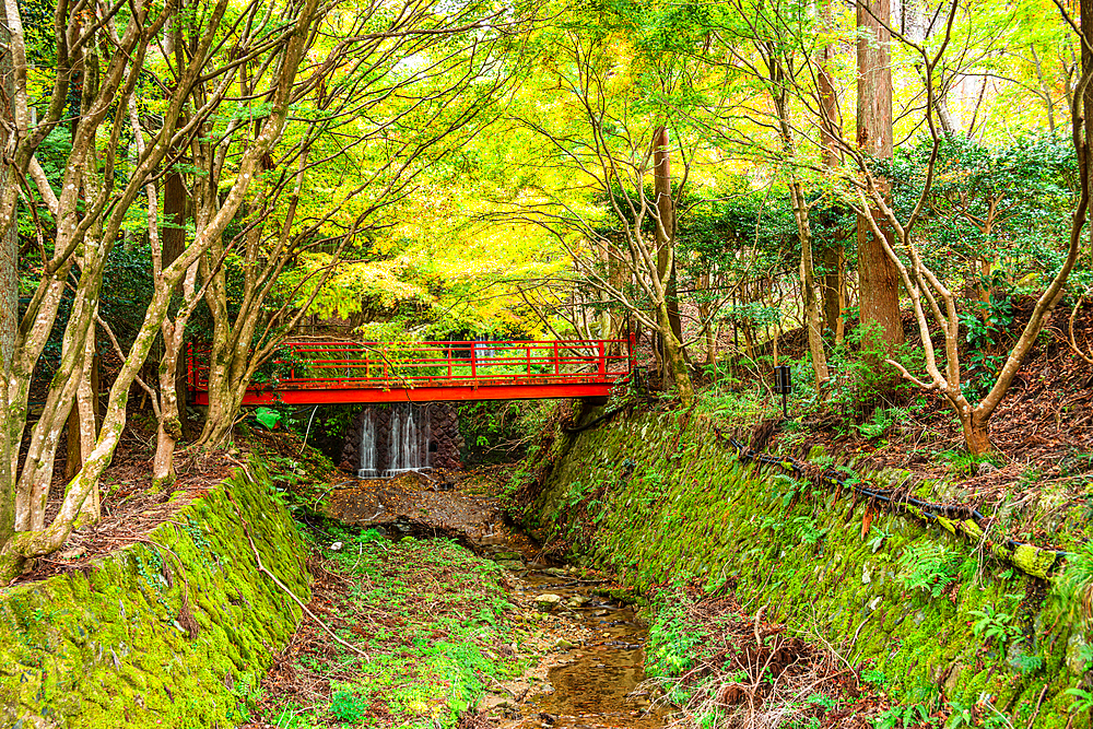 A serene moss-covered ravine framed by autumn trees and a striking red bridge, creating a picturesque scene in Kyoto.