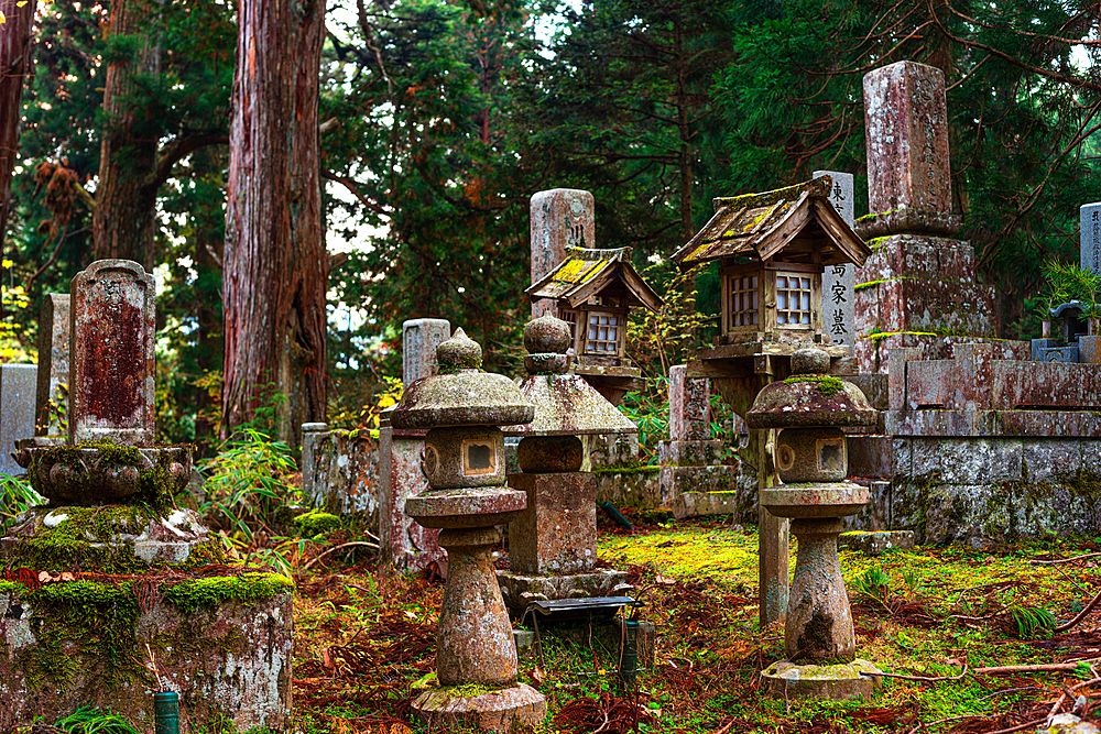 A peaceful cemetery scene with stone lanterns and gravestones nestled among towering trees in Koyasan, Japan.