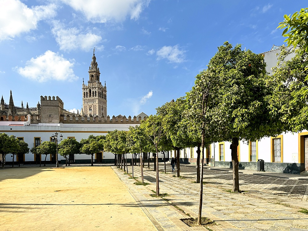 View of the Seville Cathedral, a Roman Catholic cathedral in Seville, one of the largest churches in the world as well as the largest Gothic church, highlighting the Giralda, the bell tower of the cathedral from the Patio de Banderas public square