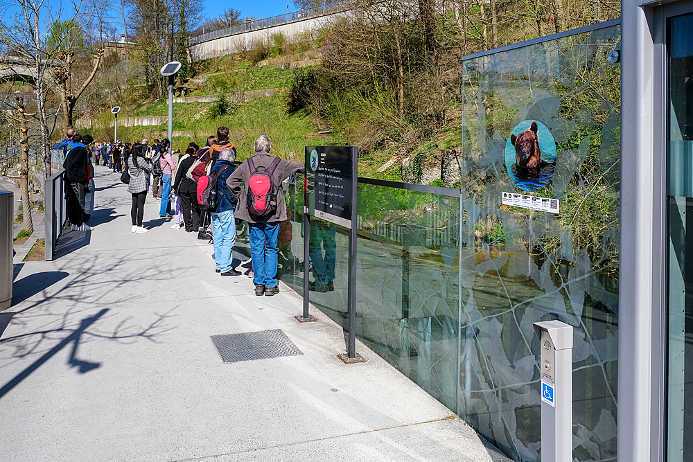 View of the BarenPark, the bear enclosure on the eastern edge of the old city, next to the Nydeggbrucke and Aare River, Bern, Switzerland, Europe