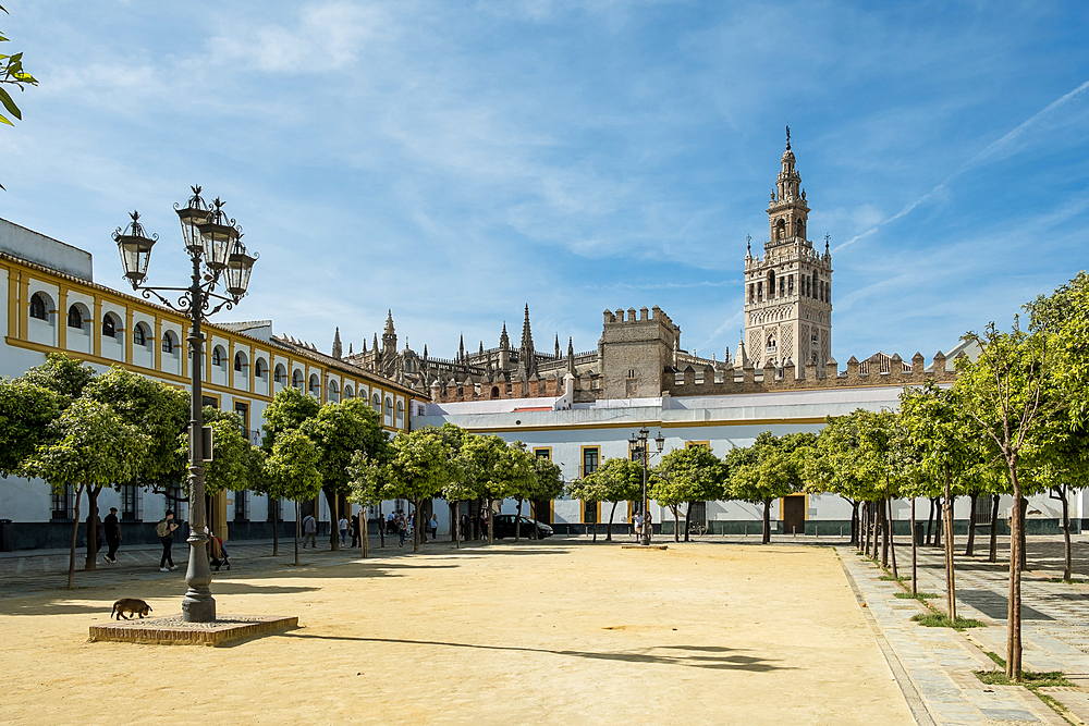 Detail of the historic centre (Casco Antiguo) of Seville, the largest city of Andalusia, with the Giralda in the background, UNESCO World Heritage Site, Seville, Andalusia, Spain, Europe