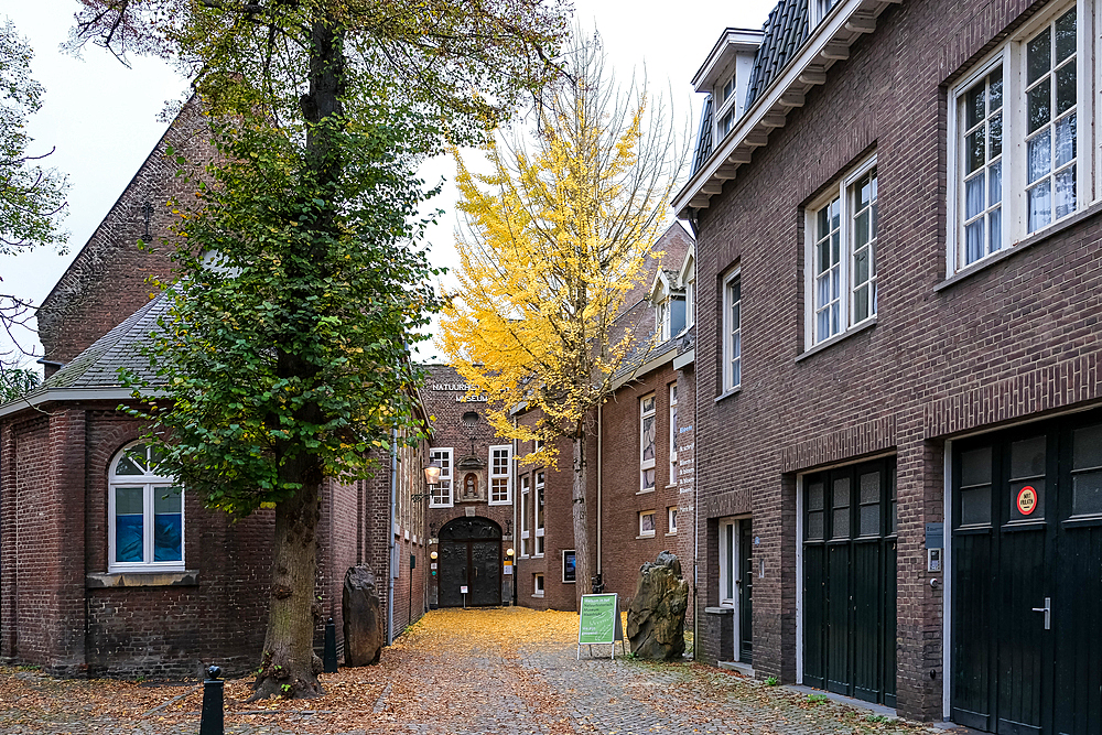 Maastricht, Netherlands – View of the Maastricht Natural History Museum, housed in the former Grauwzustersklooster monastery. Located in the historic Jekerkwartier district, it showcases the region’s natural heritage.