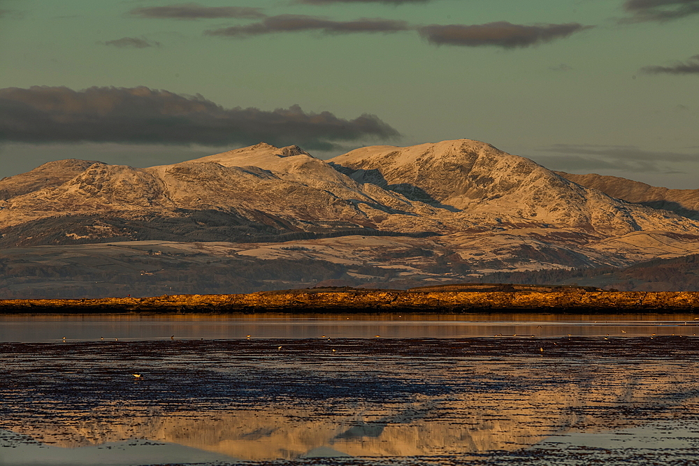 View across the Duddon Estuary towards the Coniston mountain range and the Lake District National Park, Furness Peninsula, Cumbria, England, United Kingdom, Europe