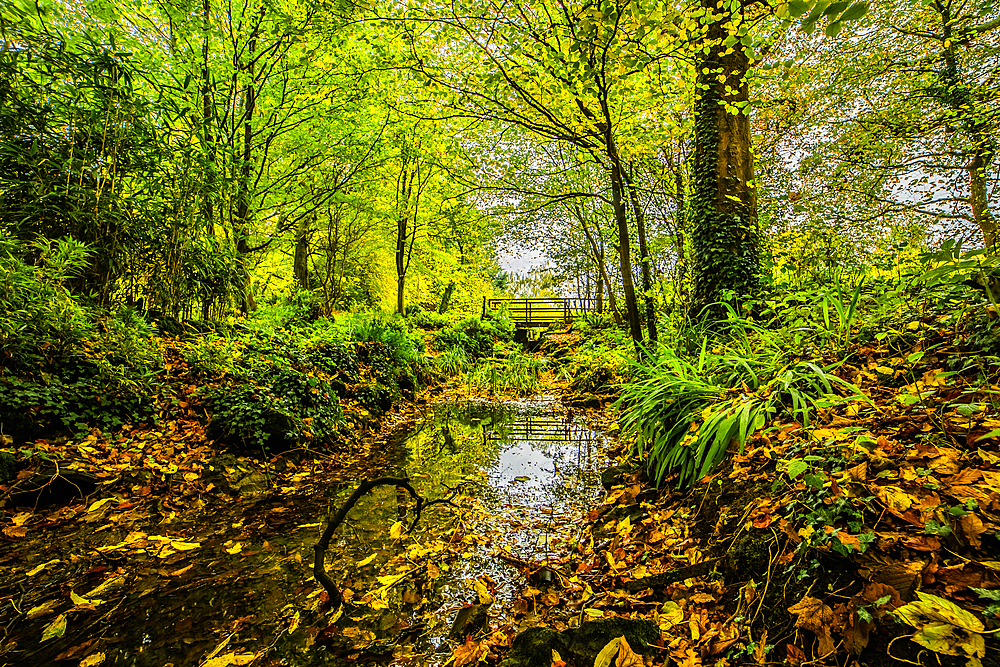 Autumn colours from Conishead Priory, Ulverston, Cumbria, England, United Kingdom, Europe