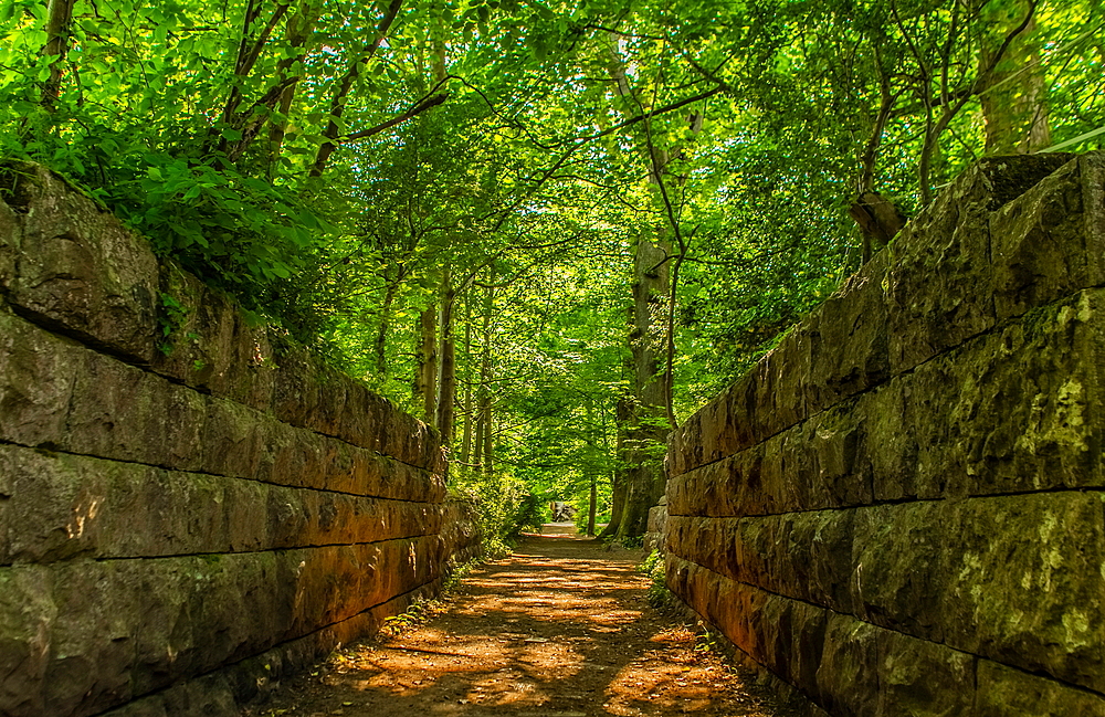 Early summer green canopy at Conishead Priory, Ulverston, Cumbria, England, United Kingdom, Europe