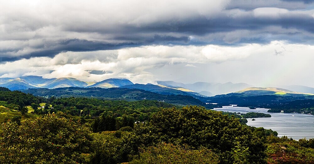 Panoramic view from Finsthwaite Heights, towards the Northern fells beyond Windermere, Lake District National Park, UNESCO World Heritage Site, Cumbria, England, United Kingdom, Europe