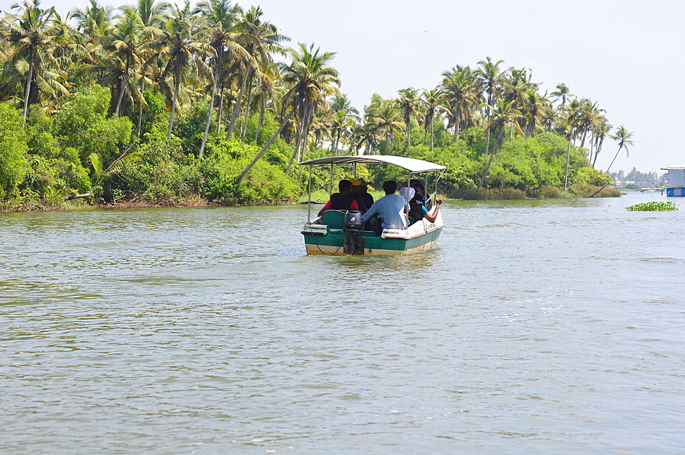 Boating through backwaters of Kerala, tranquil backwater of Neyyar River, Poovar, Thiruvanthapurm, Kerala, India, Asia