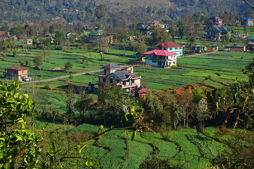 Scenic view of countryside with agricultural area and area with forestry in Himachal Pradesh, India, Asia