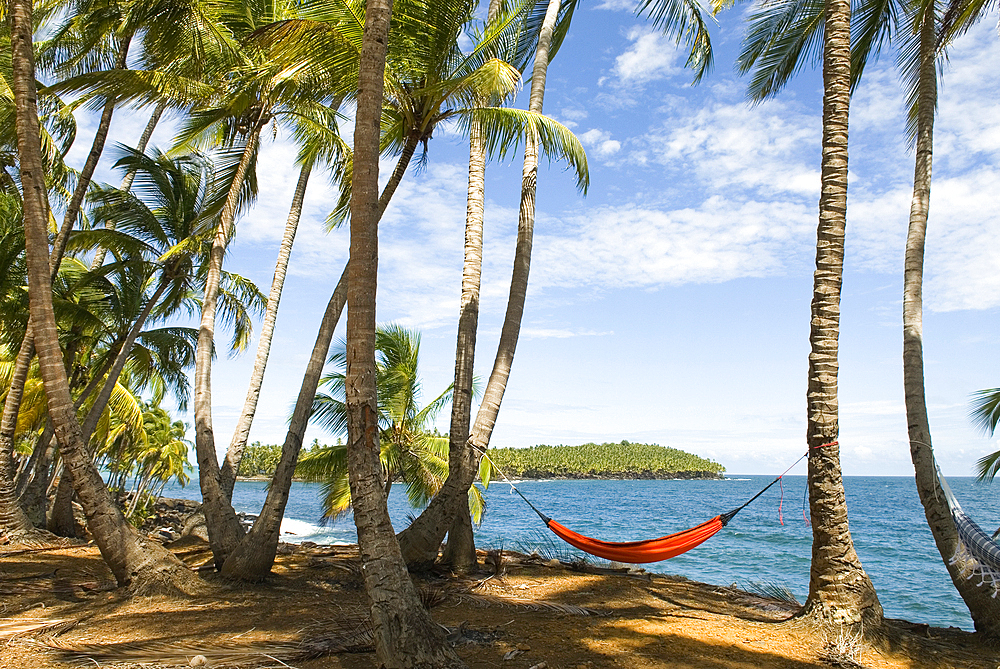 Chemin de la Pointe des Cayes, Ile Royale, Iles du Salut, French Guiana, Overseas department and region of France, French Guiana, South America