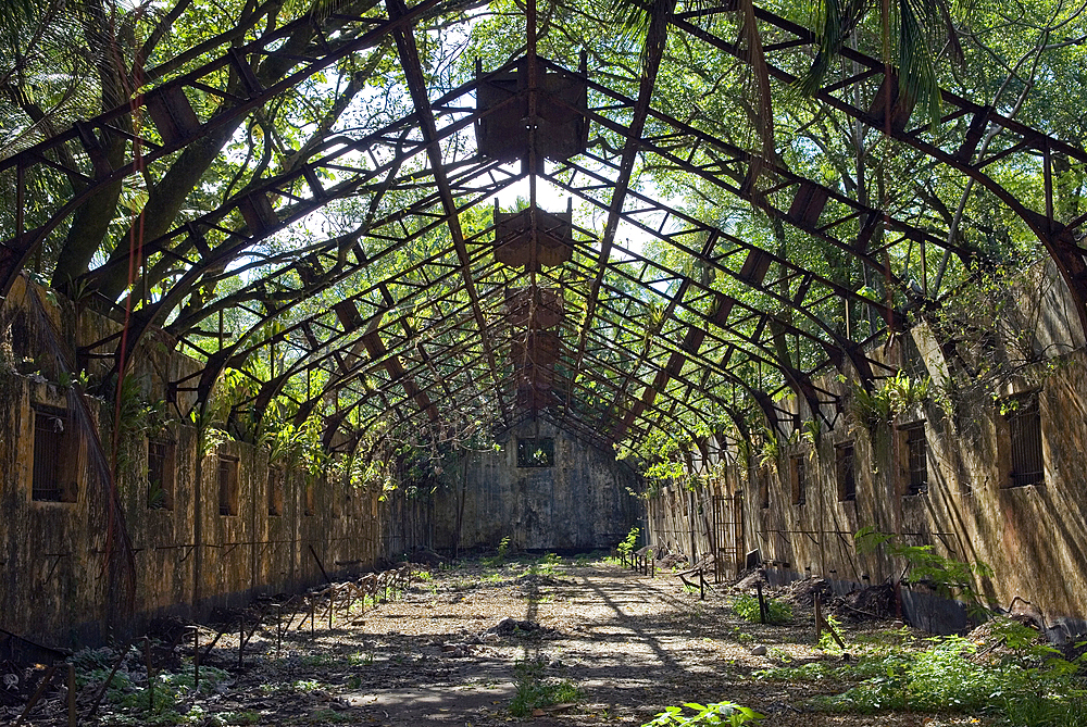 Ruined cells of penal colony on Ile Saint-Joseph, Iles du Salut (Islands of Salvation), French Guiana, Overseas department and region of France, French Guiana, South America