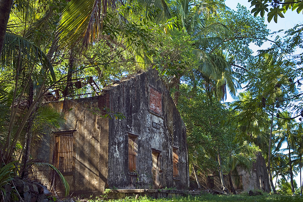 Ruined cells of penal colony on Ile Saint-Joseph, Iles du Salut (Islands of Salvation), French Guiana, Overseas department and region of France, French Guiana, South America