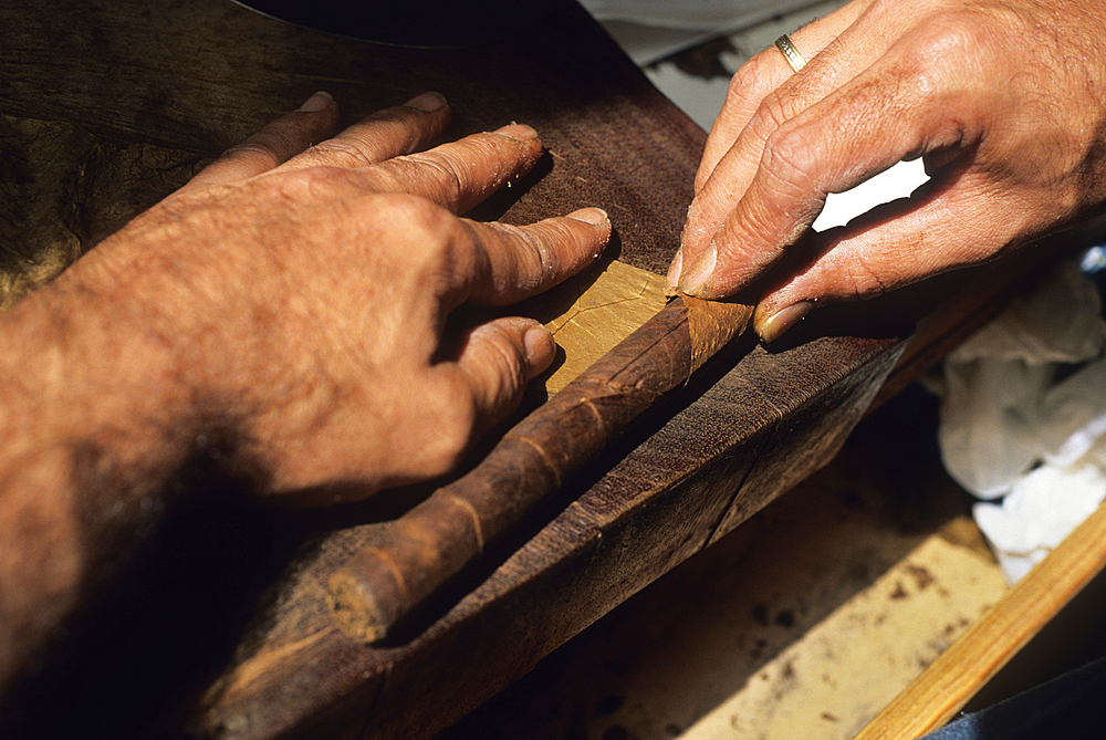 Manufacturing of cigars, La Palma, Canary Islands, Spain, Atlantic Ocean, Europe