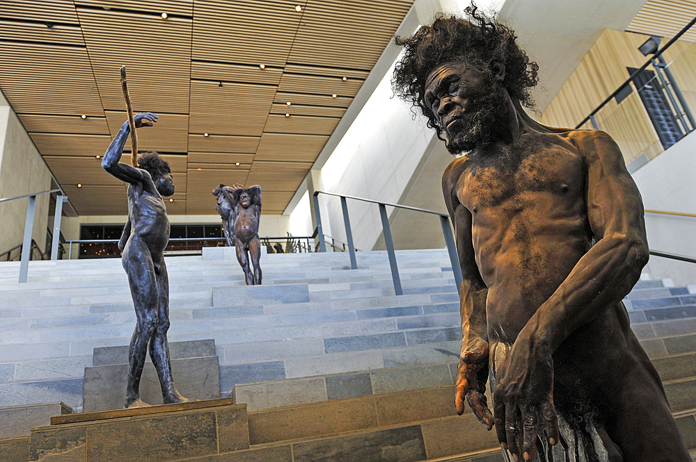 Reconstruction of Homo sapiens who lived 160000 years ago and found in the Jebel Irhoud in Morocco, Evolution Stairs, Moesgaard Museum (MOMU), Henning Larsen Architects, museum of archaeology and ethnography, Hojbjerg, Aarhus, Jutland, Denmark, Europe