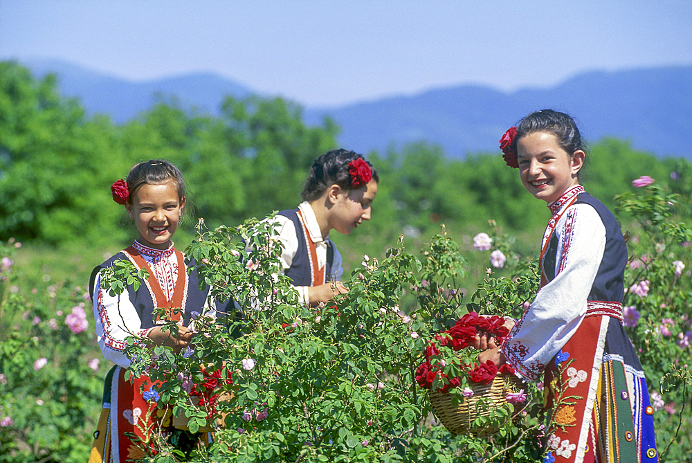 Traditional dressed young girls in a rose garden during the Rose Festival in the Rose Valley, Kazanlak, Bulgaria, Europe