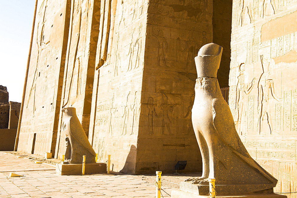 Statue of Horus beside of the first pylon, Temple of Edfu, Egypt, Northern Africa