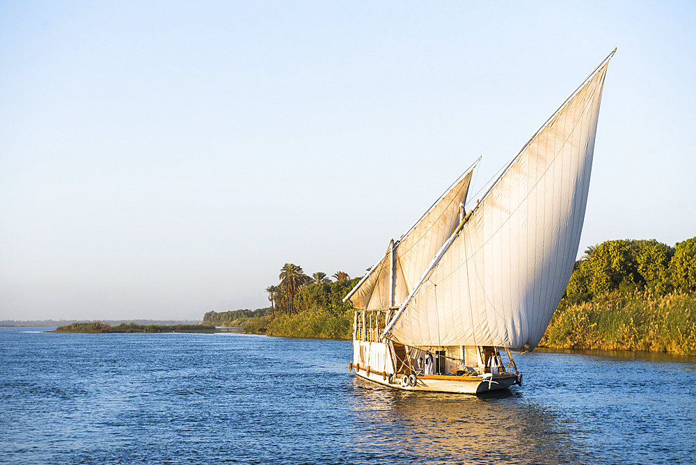 Dahabeah under sail, passenger river boat of the Lazuli fleet, sailing on the Nile river near Aswan, Egypt, northeast Africa