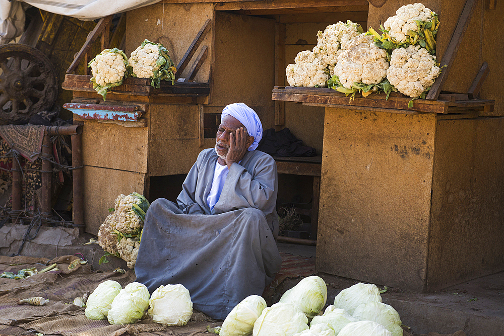 Old man asleep, sitting at a cabbage and cauliflower stall at Daraw's open-air market, Daraw, Egypt, North Africa, Africa