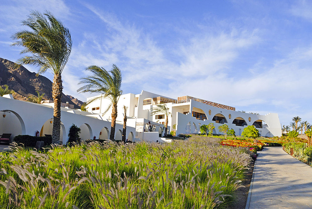 Garden of Hilton hotel at Dahab on the southeast coast of the Sinai Peninsula, Gulf of Aqaba, Egypt, North Africa, Africa