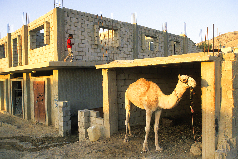 House under construction, village of Um-Sayhoun where most Bedouins working at Petra now live, Um-Sayhoun, Jordan, Middle East