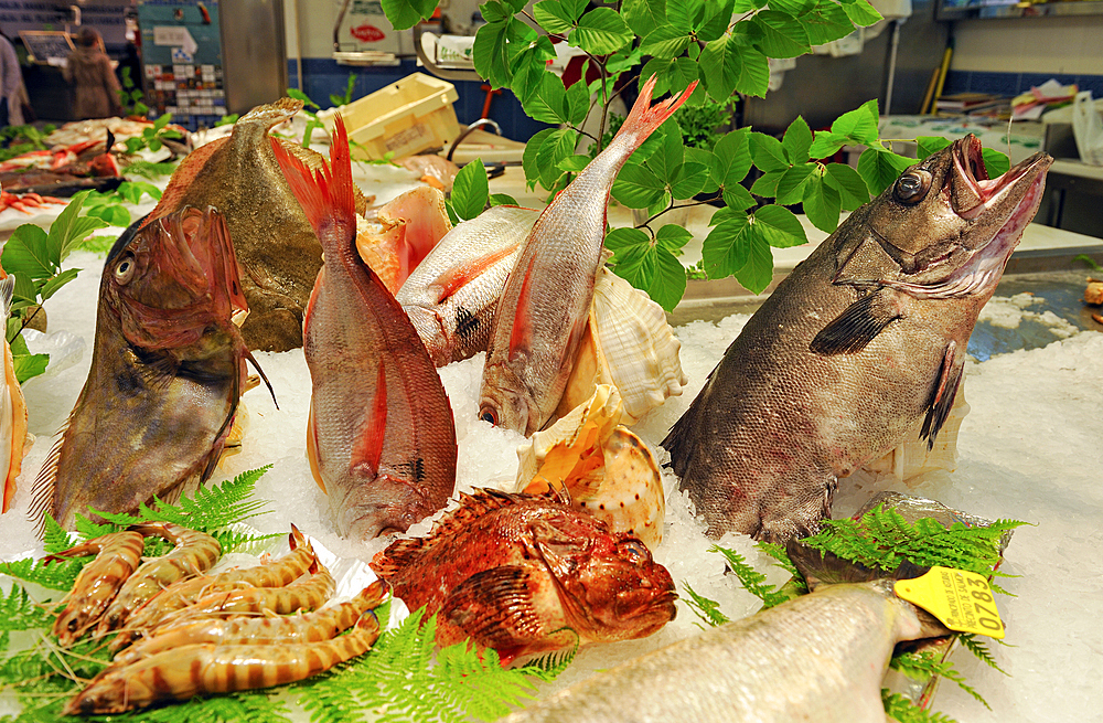 Fish market, La Bretxa, San Sebastian, Bay of Biscay, province of Gipuzkoa, Basque Country, Spain, Europe